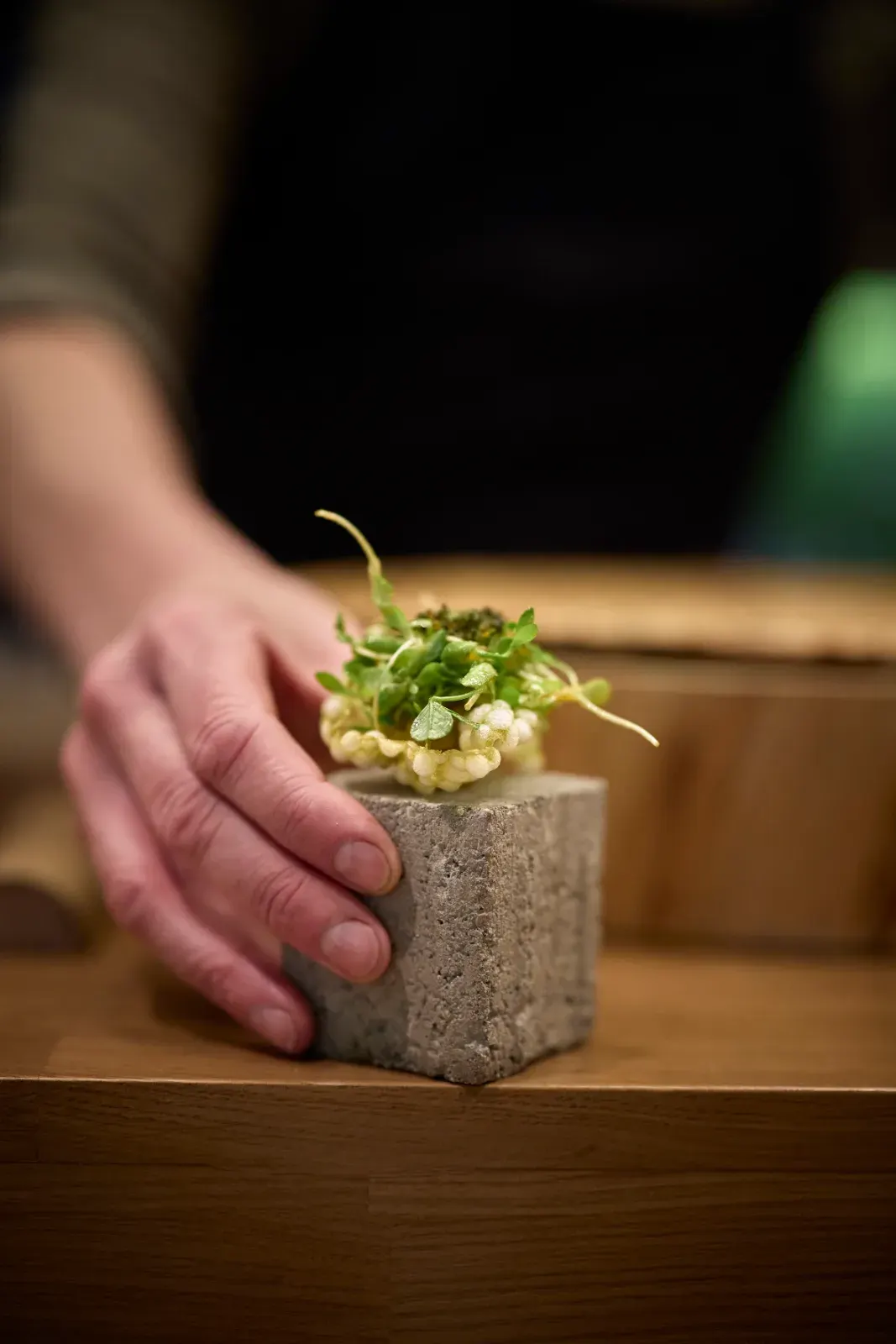 A bite crowned with sprouts on a dark stone, finished by hand